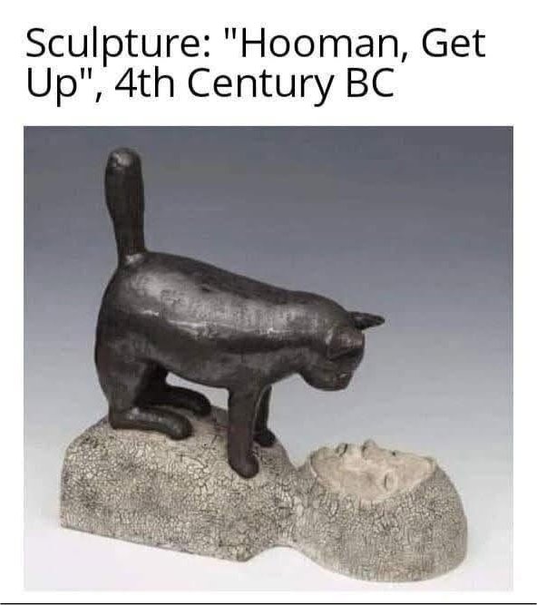 caturday 4th cent bc majorgeeks.jpg